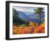 View from Kulshan Ridge, Heather Meadows Recreation Area, Washington, Usa-Jamie & Judy Wild-Framed Photographic Print