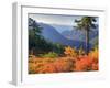 View from Kulshan Ridge, Heather Meadows Recreation Area, Washington, Usa-Jamie & Judy Wild-Framed Photographic Print