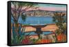 View from La Croisette, Cannes, France-null-Framed Stretched Canvas