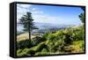 View from Larnach Castle over the Otago Peninsula, South Island, New Zealand, Pacific-Michael Runkel-Framed Stretched Canvas