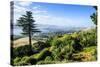 View from Larnach Castle over the Otago Peninsula, South Island, New Zealand, Pacific-Michael Runkel-Stretched Canvas