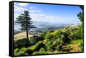 View from Larnach Castle over the Otago Peninsula, South Island, New Zealand, Pacific-Michael Runkel-Framed Stretched Canvas