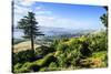 View from Larnach Castle over the Otago Peninsula, South Island, New Zealand, Pacific-Michael Runkel-Stretched Canvas