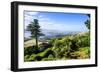 View from Larnach Castle over the Otago Peninsula, South Island, New Zealand, Pacific-Michael Runkel-Framed Photographic Print