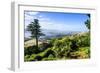 View from Larnach Castle over the Otago Peninsula, South Island, New Zealand, Pacific-Michael Runkel-Framed Photographic Print