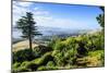 View from Larnach Castle over the Otago Peninsula, South Island, New Zealand, Pacific-Michael Runkel-Mounted Photographic Print