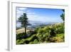 View from Larnach Castle over the Otago Peninsula, South Island, New Zealand, Pacific-Michael Runkel-Framed Photographic Print