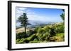 View from Larnach Castle over the Otago Peninsula, South Island, New Zealand, Pacific-Michael Runkel-Framed Photographic Print