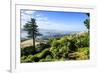 View from Larnach Castle over the Otago Peninsula, South Island, New Zealand, Pacific-Michael Runkel-Framed Photographic Print