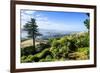 View from Larnach Castle over the Otago Peninsula, South Island, New Zealand, Pacific-Michael Runkel-Framed Photographic Print