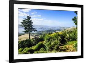 View from Larnach Castle over the Otago Peninsula, South Island, New Zealand, Pacific-Michael Runkel-Framed Photographic Print