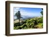 View from Larnach Castle over the Otago Peninsula, South Island, New Zealand, Pacific-Michael Runkel-Framed Photographic Print
