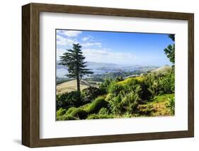 View from Larnach Castle over the Otago Peninsula, South Island, New Zealand, Pacific-Michael Runkel-Framed Photographic Print