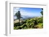 View from Larnach Castle over the Otago Peninsula, South Island, New Zealand, Pacific-Michael Runkel-Framed Photographic Print