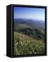 View from Le Puy-De-Dome of Chaine Des Puys, Puy-De-Dome, Auvergne, France-Charles Bowman-Framed Stretched Canvas