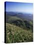 View from Le Puy-De-Dome of Chaine Des Puys, Puy-De-Dome, Auvergne, France-Charles Bowman-Stretched Canvas