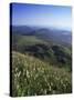 View from Le Puy-De-Dome of Chaine Des Puys, Puy-De-Dome, Auvergne, France-Charles Bowman-Stretched Canvas