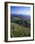 View from Le Puy-De-Dome of Chaine Des Puys, Puy-De-Dome, Auvergne, France-Charles Bowman-Framed Photographic Print