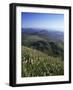 View from Le Puy-De-Dome of Chaine Des Puys, Puy-De-Dome, Auvergne, France-Charles Bowman-Framed Photographic Print