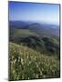 View from Le Puy-De-Dome of Chaine Des Puys, Puy-De-Dome, Auvergne, France-Charles Bowman-Mounted Photographic Print