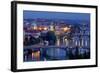 View from Letna Hill across Vltava Bridges towards the Old Town of Prague, Czech Republic-null-Framed Art Print