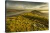 View from Mam Tor of fog in Hope Valley at sunrise, Castleton, Peak District National Park, Derbysh-Frank Fell-Stretched Canvas
