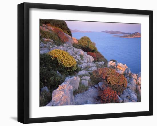 View from Mana Island South Along the Islands of Kornati National Park, Croatia, May 2009-Popp-Hackner-Framed Premium Photographic Print