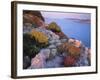 View from Mana Island South Along the Islands of Kornati National Park, Croatia, May 2009-Popp-Hackner-Framed Photographic Print