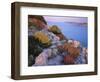 View from Mana Island South Along the Islands of Kornati National Park, Croatia, May 2009-Popp-Hackner-Framed Photographic Print