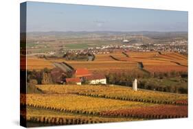 View from Michaelsberg Mountain over Autumn Vineyards to the Lowensteiner Berge Mountains-Markus-Stretched Canvas