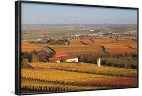 View from Michaelsberg Mountain over Autumn Vineyards to the Lowensteiner Berge Mountains-Markus-Framed Photographic Print