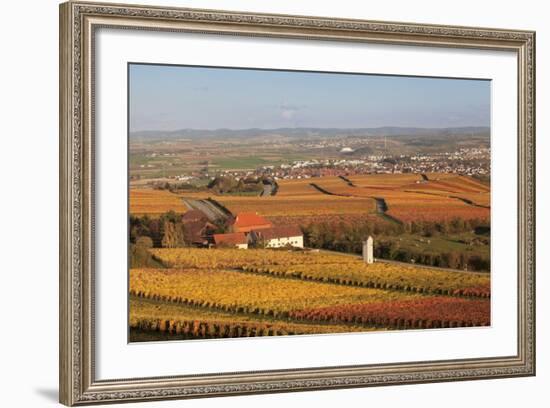 View from Michaelsberg Mountain over Autumn Vineyards to the Lowensteiner Berge Mountains-Markus-Framed Photographic Print