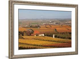 View from Michaelsberg Mountain over Autumn Vineyards to the Lowensteiner Berge Mountains-Markus-Framed Photographic Print