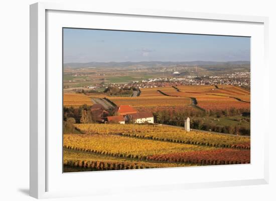 View from Michaelsberg Mountain over Autumn Vineyards to the Lowensteiner Berge Mountains-Markus-Framed Photographic Print