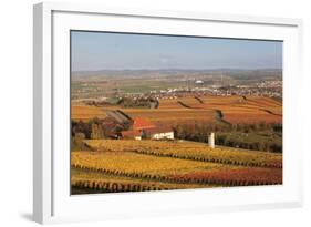 View from Michaelsberg Mountain over Autumn Vineyards to the Lowensteiner Berge Mountains-Markus-Framed Photographic Print