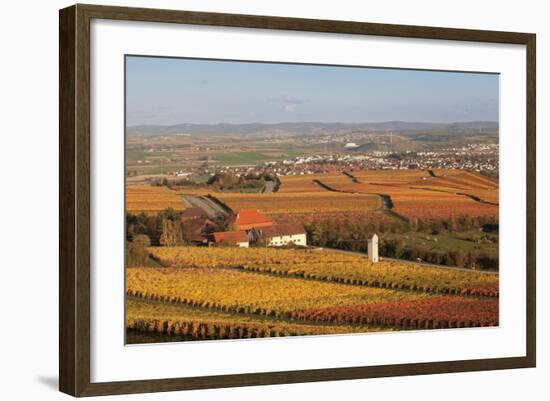 View from Michaelsberg Mountain over Autumn Vineyards to the Lowensteiner Berge Mountains-Markus-Framed Photographic Print