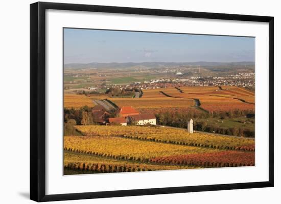 View from Michaelsberg Mountain over Autumn Vineyards to the Lowensteiner Berge Mountains-Markus-Framed Photographic Print