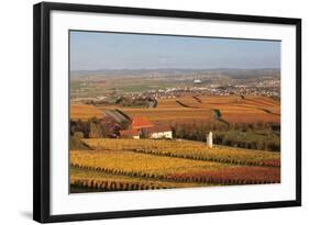 View from Michaelsberg Mountain over Autumn Vineyards to the Lowensteiner Berge Mountains-Markus-Framed Photographic Print