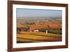 View from Michaelsberg Mountain over Autumn Vineyards to the Lowensteiner Berge Mountains-Markus-Framed Photographic Print