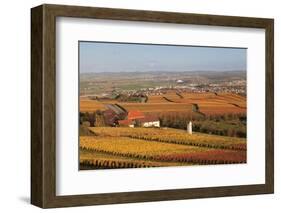 View from Michaelsberg Mountain over Autumn Vineyards to the Lowensteiner Berge Mountains-Markus-Framed Photographic Print