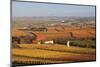 View from Michaelsberg Mountain over Autumn Vineyards to the Lowensteiner Berge Mountains-Markus-Mounted Photographic Print