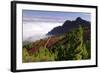 View from Mirador De La Cumbre, Parque Nacional Del Teide, Tenerife, Canary Islands, 2007-Peter Thompson-Framed Photographic Print