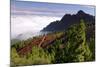 View from Mirador De La Cumbre, Parque Nacional Del Teide, Tenerife, Canary Islands, 2007-Peter Thompson-Mounted Photographic Print