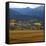 View from Moraine Park, Rmnp,USA-Anna Miller-Framed Stretched Canvas