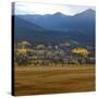 View from Moraine Park, Rmnp,USA-Anna Miller-Stretched Canvas