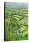 View from Mount Gargan, Limousin,France 2010-Joan Thewsey-Stretched Canvas