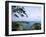 View from Mountain of St. Georges, Grenada, Caribbean-Bill Bachmann-Framed Photographic Print