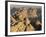 View from Mt. Sinai at Sunrise, Egypt-Rolf Nussbaumer-Framed Photographic Print