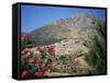View from Mycenae, Peloponnese, Greece-Oliviero Olivieri-Framed Stretched Canvas