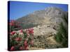 View from Mycenae, Peloponnese, Greece-Oliviero Olivieri-Stretched Canvas